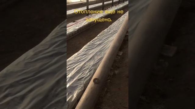 Тёплые грядки под плёнкой или без неё? смотреть онлайн