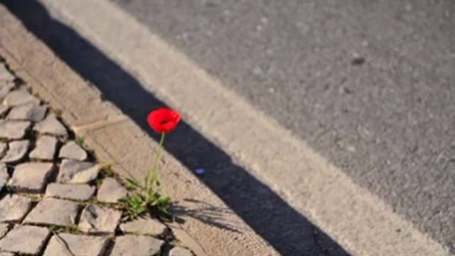 Близнецовые пламена. Кем бы он не был. смотреть онлайн