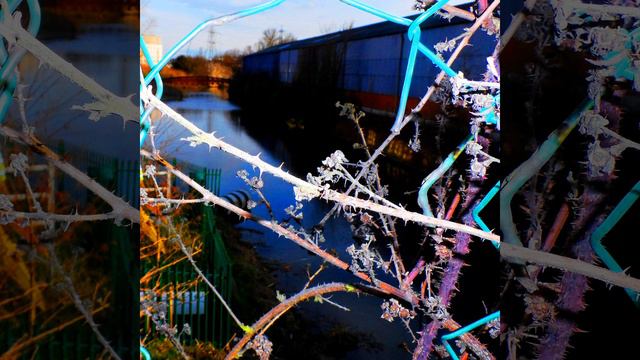 Brutally Honest смотреть онлайн