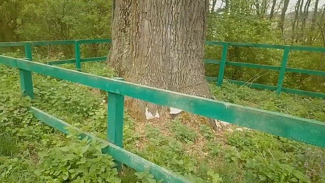Коп по ВВВ або легка прогулянка місцевістю. смотреть онлайн
