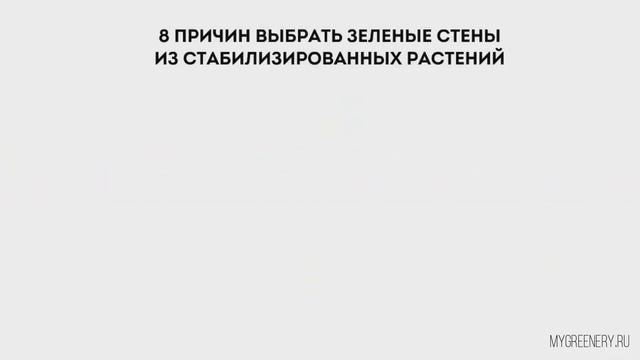Вертикальное озеленение стабилизированным мхом mygreenery ru смотреть онлайн