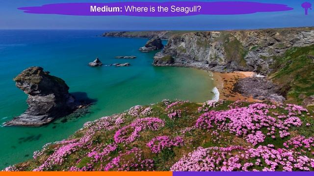 Find the Hidden Animals Game - 1 смотреть онлайн