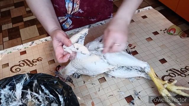 Убираю лишних петушков. Мастер Грей и Борковский. смотреть онлайн