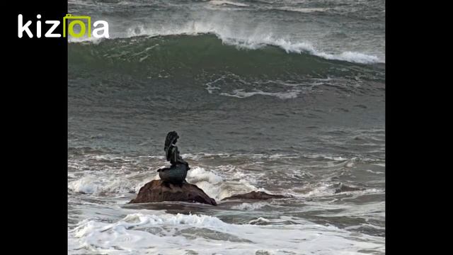 Чем русалки отличаются от сирен? смотреть онлайн