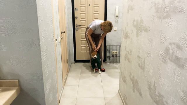 УТЕПЛЯЕМ БАСЕНДЖИ смотреть онлайн