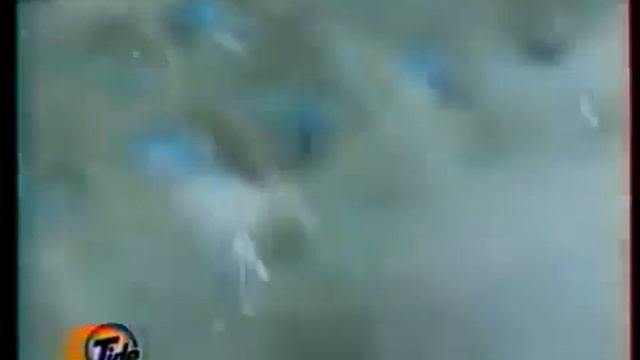 Реклама Tide 1997 смотреть онлайн