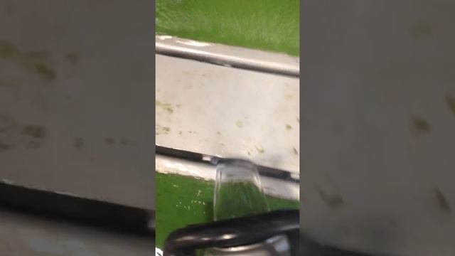Craft brewery yeast harvesting смотреть онлайн