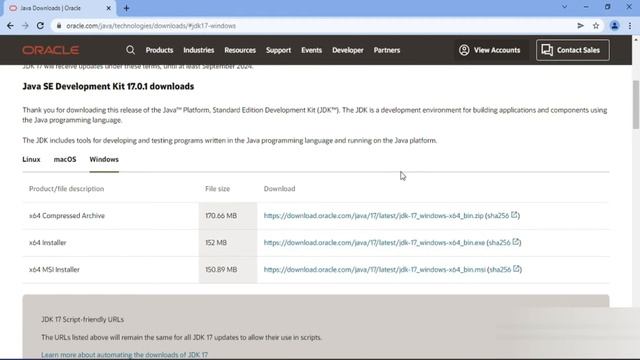 Download and Install Java in Windows 11 | Install Java 17 on Windows 11 | Hindi #2 смотреть онлайн
