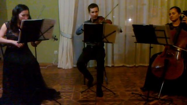 Венгерский танец Брамса №5 смотреть онлайн