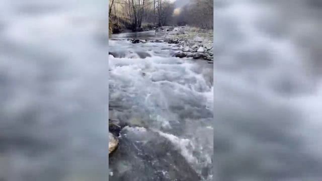 🚨 СРОЧНО - Магомед Даудов с места событий! ингуши не явились на шариатский суд! рус.озвучка смотреть онлайн