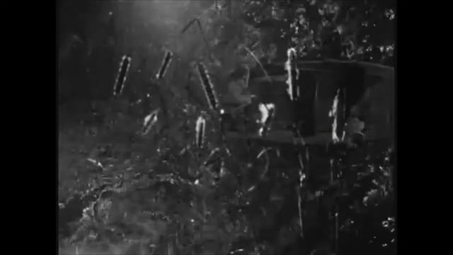 Film Noir by The Kalle смотреть онлайн