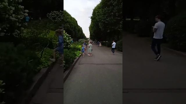 Брату Алексею 29. Парк Горького (1,21 кв.км). Часть 3. Открыт в 1928 г. Кафе Хлеб Насущный. смотреть онлайн