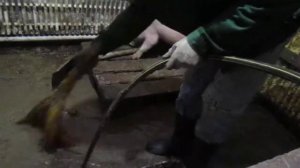 Свиноводство!Устройство канализации.Навозоудаление.