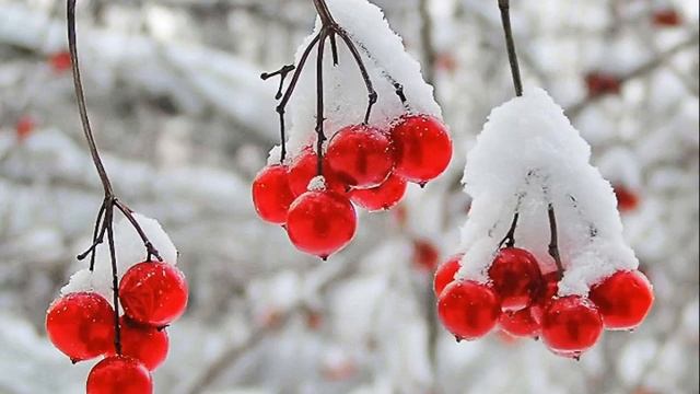 ТАМАРА КУТИДЗЕ ЗИМНЯЯ ЯГОДА смотреть онлайн