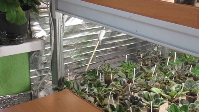 Ремонтный Гений