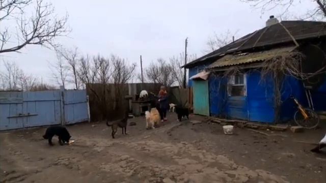 ВИТАЛИК И АНГЕЛИНА / РОДИТЕЛИ АНГЕЛИНЫ ЖИВУТ В КРАСНОДАРЕ смотреть онлайн