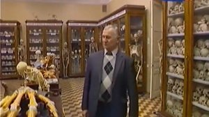 Александр Свирский. Защитник и покровитель