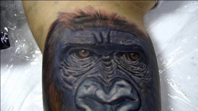 gorilla tattoo by zoran смотреть онлайн