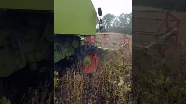 Claas Compact 30 ремонт і молотьба. Частина2 смотреть онлайн