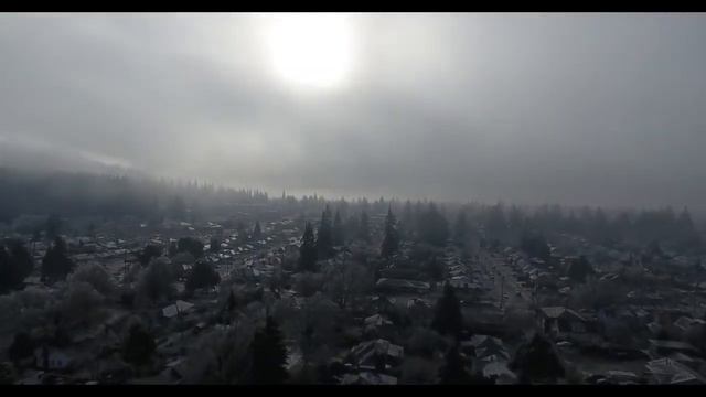 10 ЖИВОТНЫХ, КОТОРЫЕ СОЖРАЛИ СВОИХ ХОЗЯЕВ смотреть онлайн