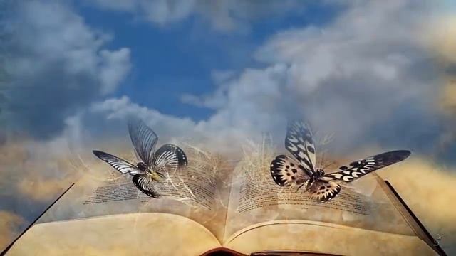 Мне подарили книгу. Стихотворение Андрея Дементьева смотреть онлайн