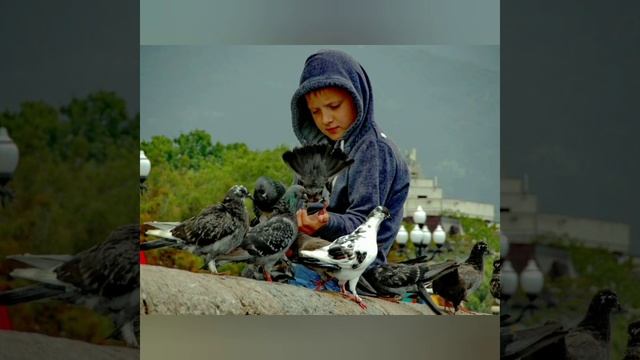 Жила была РАДОСТЬ.  Рассказ Ирины Рогалевой.