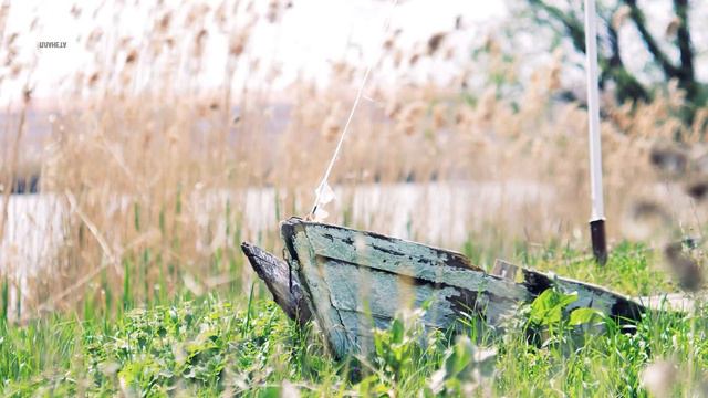 Релакс — Chillout на природе Для Успокоения Души. Усмирение ума. Медитация и Релаксация [4K] смотреть онлайн