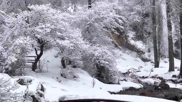 Kazakhstan. Almaty. Snow. Алматы. Наша карантинная зима. смотреть онлайн