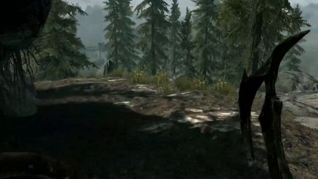 The Elder Scrolls V:Skyrim gt 630 2gb смотреть онлайн