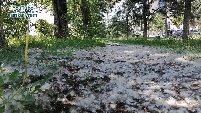 Внимательно выбирайте специалиста смотреть онлайн