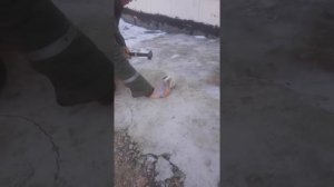 Топливный фильтр Пежо 308 разборка