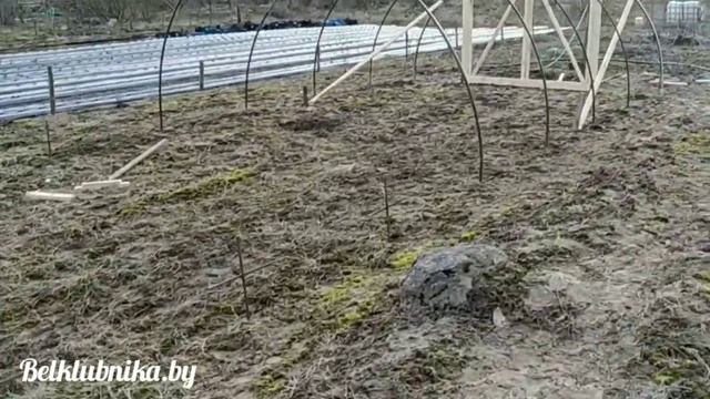 Теплица, парник, балаган 4х20 метров для саженцев клубники. Belklubnika.by.mp4 смотреть онлайн