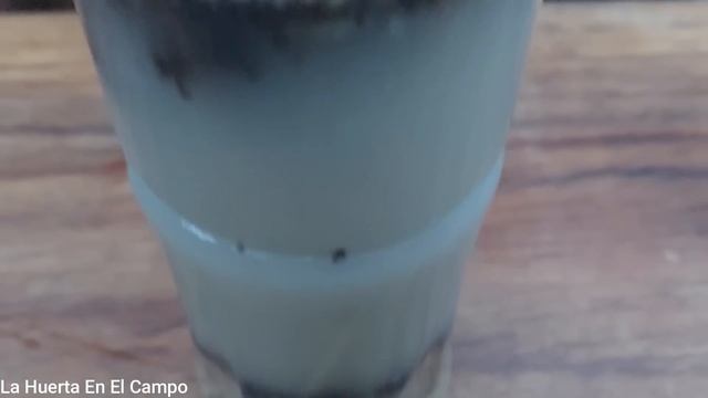 RESUCITA Cualquier PLANTA Con Este FERTILIZANTE CASERO! Cura Plantas ENFERMAS O SECAS  Huerto Urban