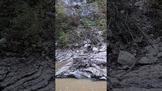 Сочинский национальный парк ) часть 1 смотреть онлайн