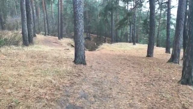 Рязань. Солотча Онлайн. (Трансляция) смотреть онлайн