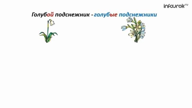 Имя прилагательное смотреть онлайн