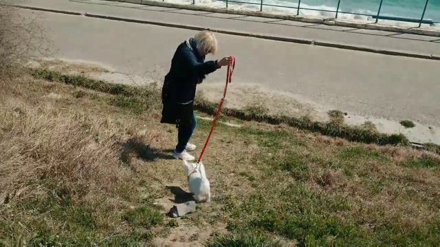Первая прогулка у моря Юты, 06.04.2019 смотреть онлайн