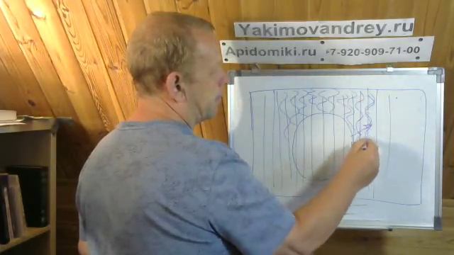 Медовые запасы и незапечатанный мёд в августе сколько? Владимирский улей. смотреть онлайн