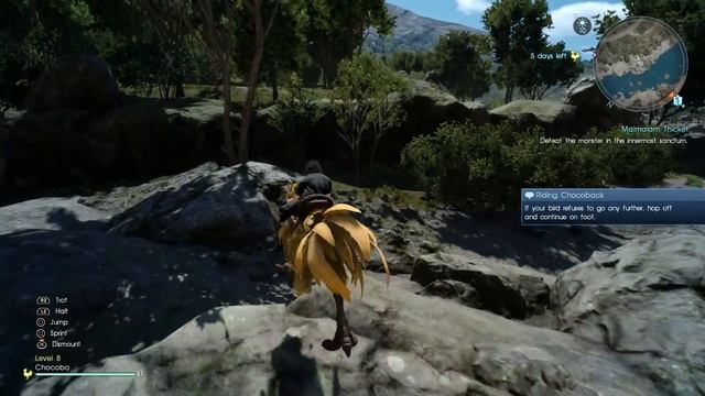 Final Fantasy XV - Malmalam Thicket: Pink Chocobo, Mandrake Fight, Thunderbolt Greatsword Location смотреть онлайн