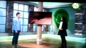 Звериный репортёр 22