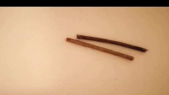 УБОРКА КЛЕТКИ ПОПУГАЯ |ИЛИ КАК Я УБИРАЮ КЛЕТКУ ПОПУГАЯ? смотреть онлайн