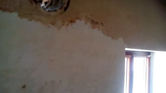 Обои со стен Строика ремот оделка смотреть онлайн