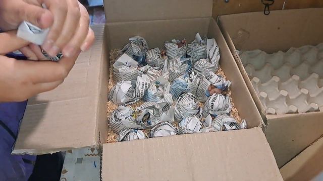 РОБЛЮ ВІДПРАВКУ ЯЄЦЬ ПОКИ НЕМА МОРОЗІВ. НОШУ ПІВНИКА НА РУКАХ смотреть онлайн