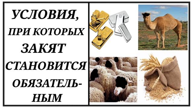 3. Условия, при которых Закят становится обязательным смотреть онлайн