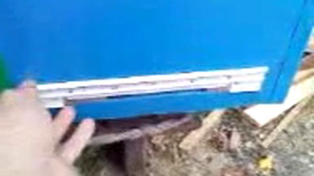 летковые вкладыши смотреть онлайн