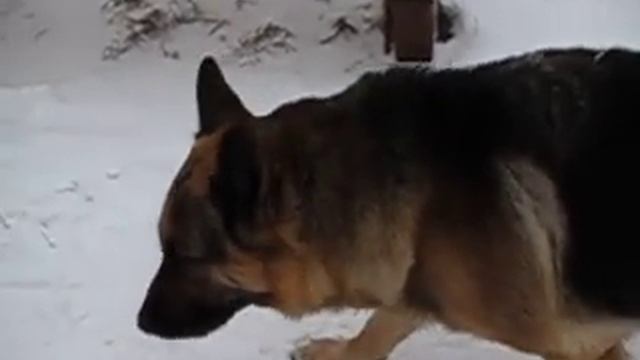 120 кадров в секунду на простом фотоаппарате