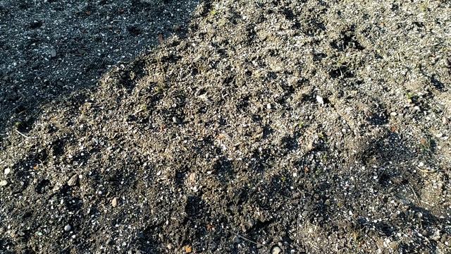 Один день из нашей семейной жизни в выходной день смотреть онлайн