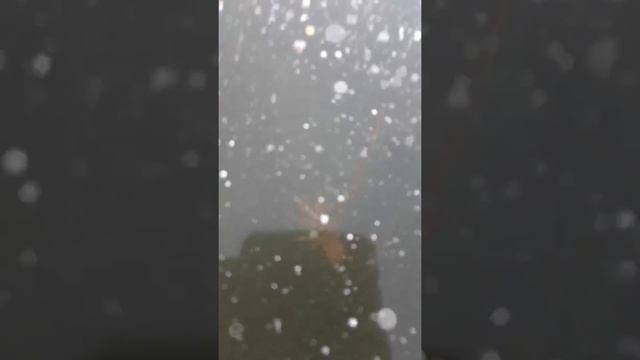 Где раки зимуют смотреть онлайн