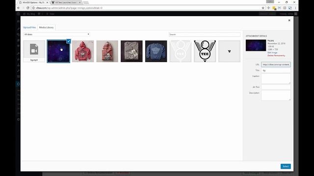 05_2 - Settings - Background - MiniGO v3 - Help Tutorial - WordPress Plugin смотреть онлайн