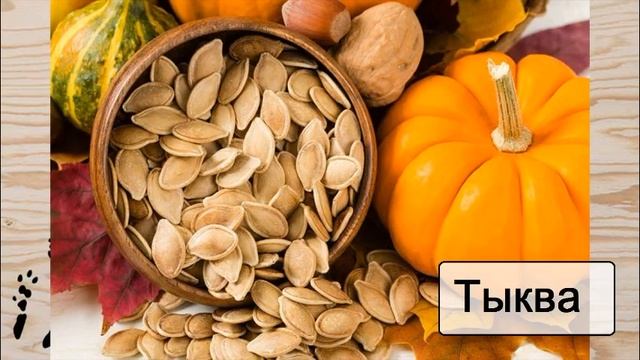 Семена для ШИНШИЛЛ!